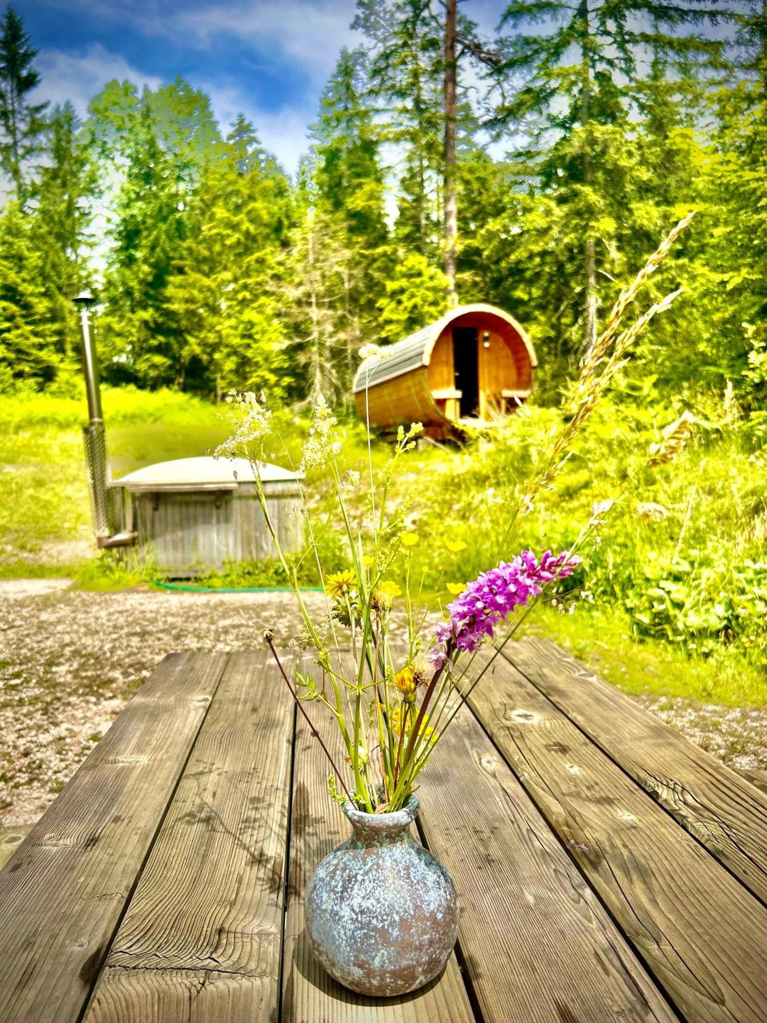 Chalet Wildalpen  Exterior foto